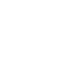 GP Consultation