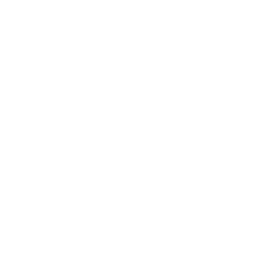 GP Consultation