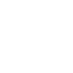 GP Consultation