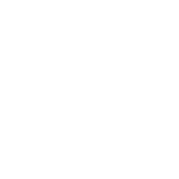 GP Consultation