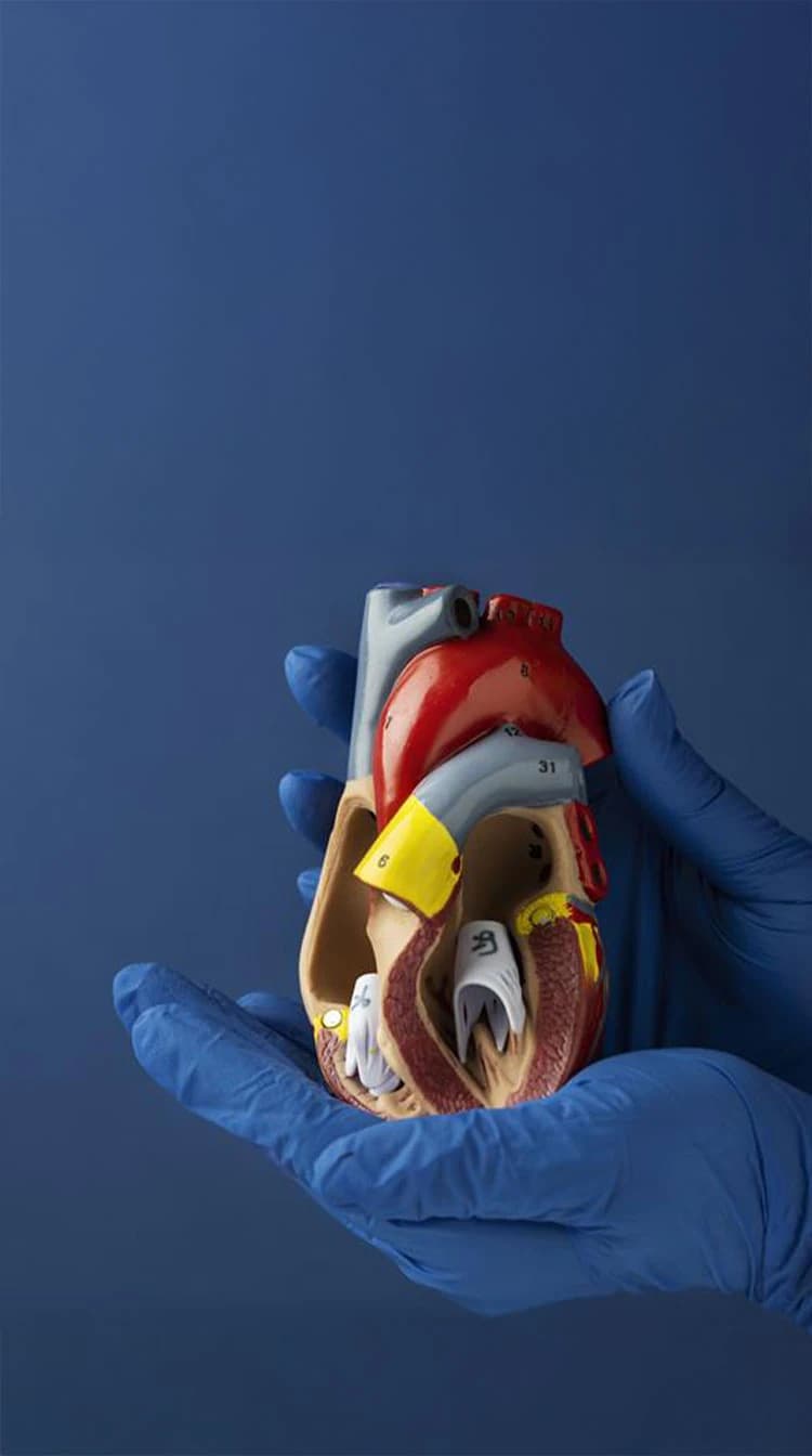 Cardiology